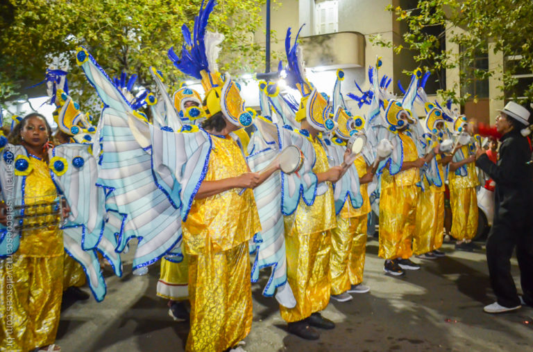 Saci-Pô desfila no seu jubileu de ouro; confira as fotos