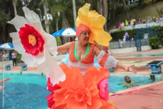 Banho à Fantasia: confira homenagens, vencedores e imagens