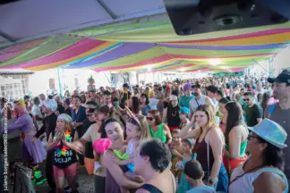 Charanga dos Artistas mantém tradição e lota o Parque neste domingo; confira fotos